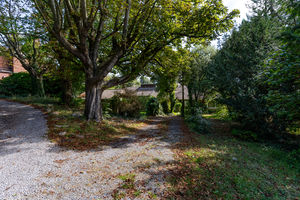 Photo 37- click for photo gallery